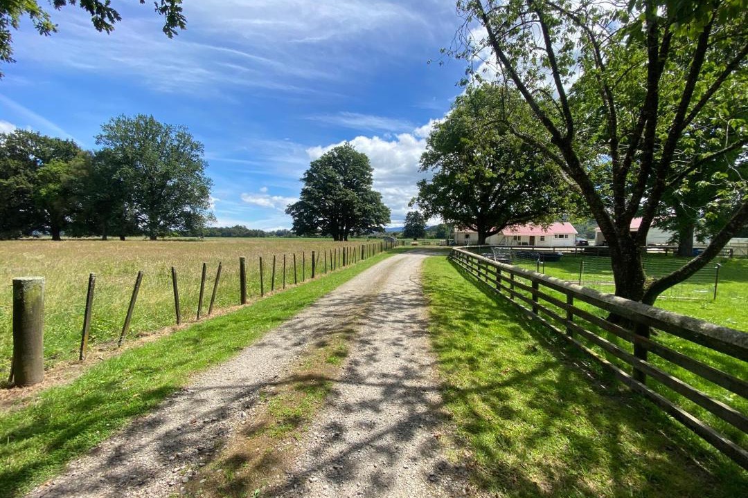 Photo of Others in Ikamatua