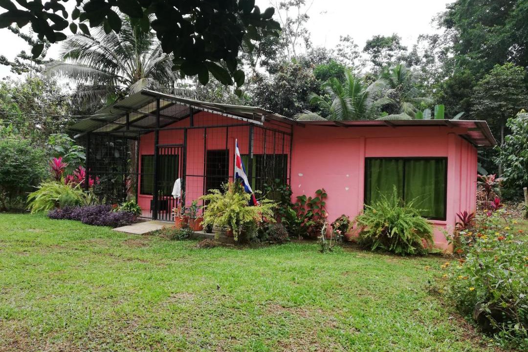 Photo of Others in Alegria