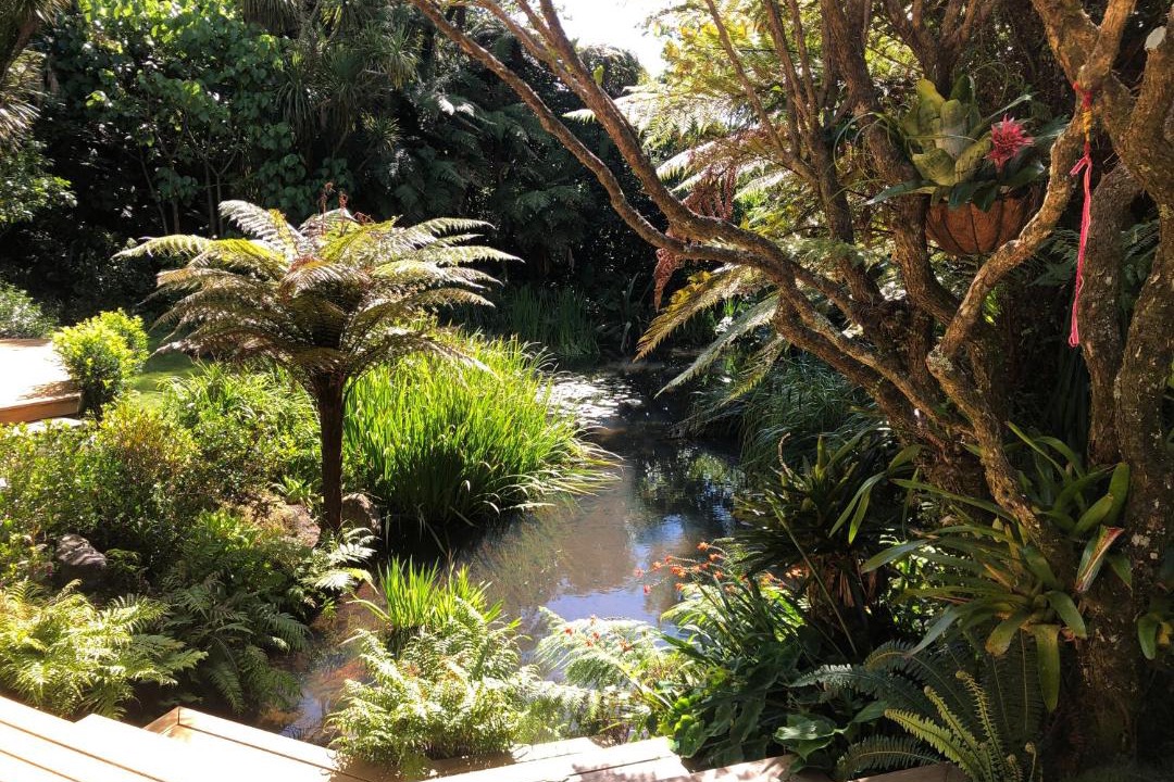 Photo of Others in New Plymouth