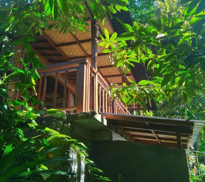 Photo of Others in Tegallalang