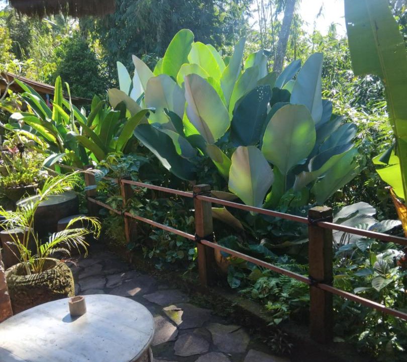 Photo of Others in Tegallalang