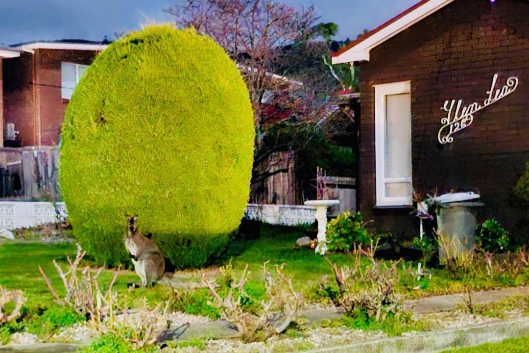 Photo of Others in Glenorchy