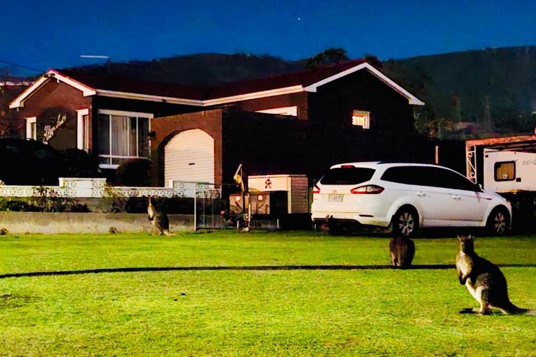 Photo of Others in Glenorchy