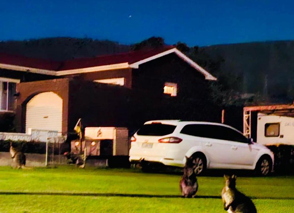 Photo of Others in Glenorchy