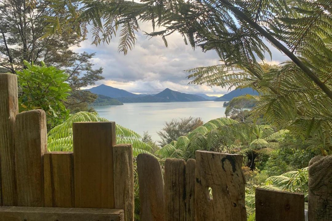 Photo of Others in Moetapu Bay