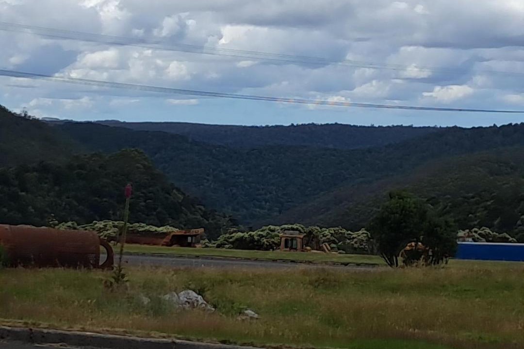 Photo of Others in Waratah