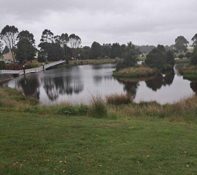 Photo of Others in Waratah