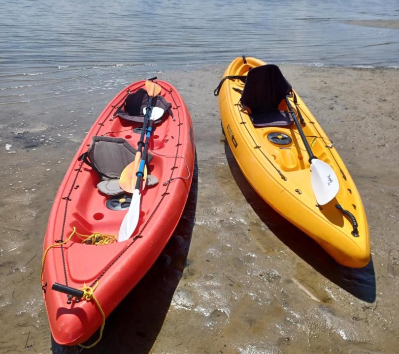 Photo of Others in One Tree Point