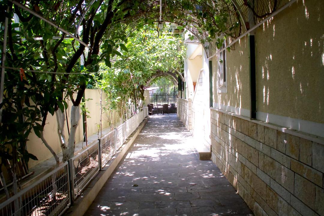 Photo of Others in Arta