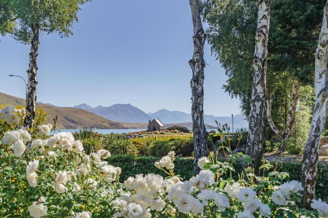 Photo of Others in Lake Tekapo
