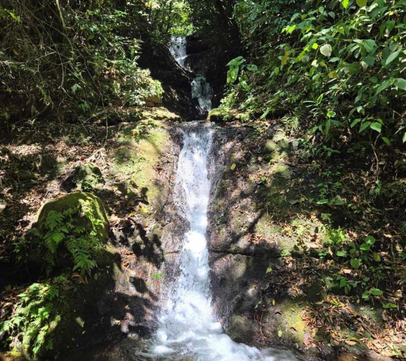 Photo of Others in Quebrada Grande