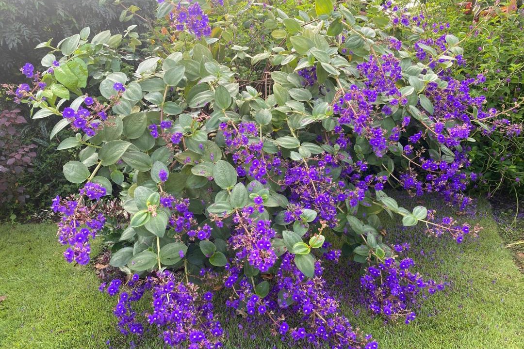 Photo of Outdoor in Cachi