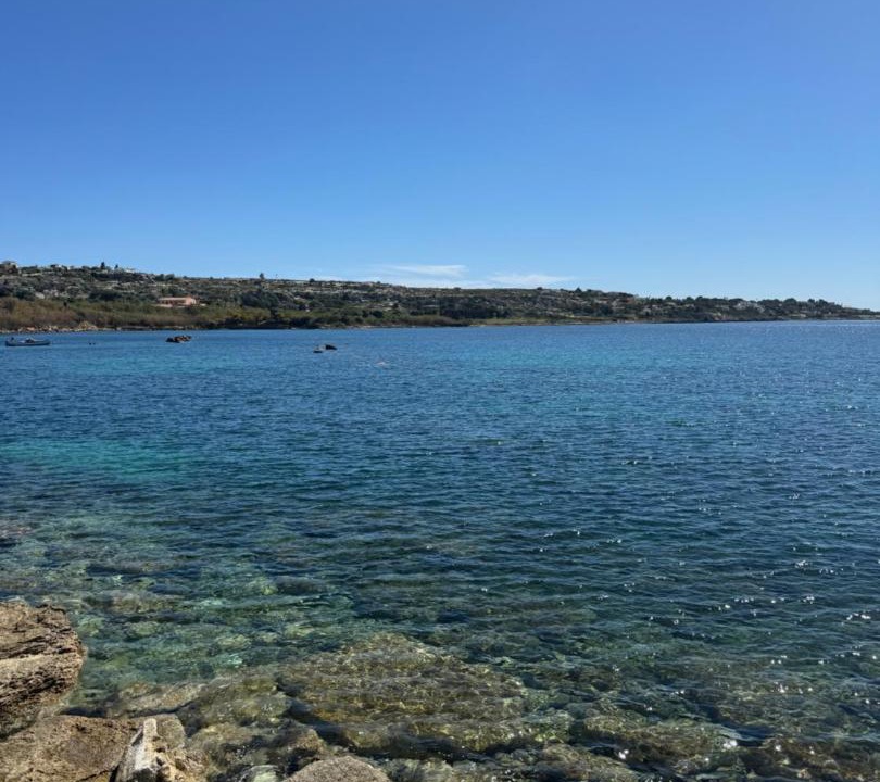 Photo of Others in Syracuse