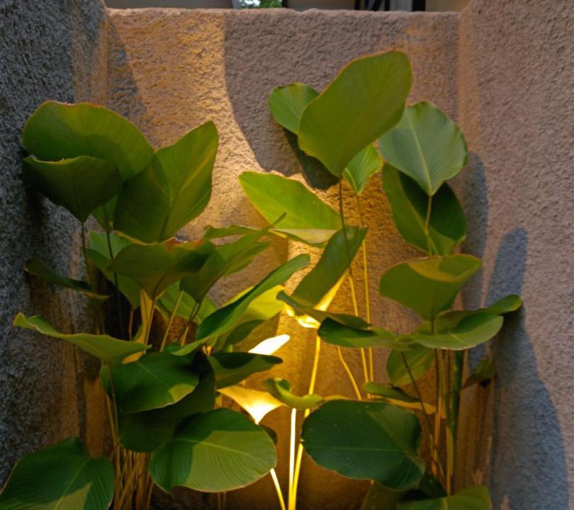 Photo of Others in Borobudur