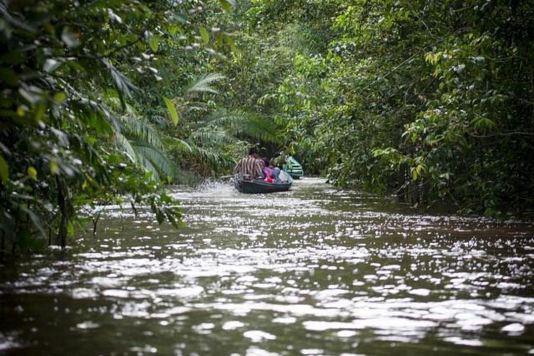 Photo of Others in Kalimantan