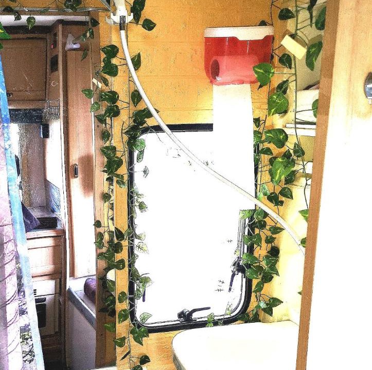 Photo of Others in Frankton