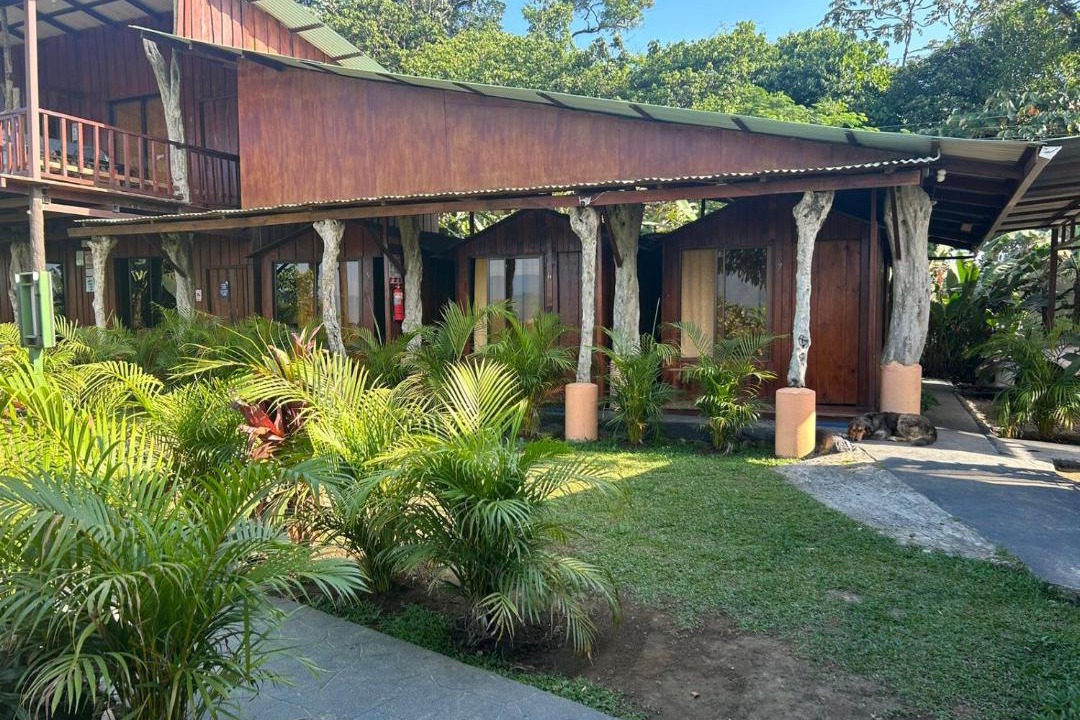 Photo of Others in Monterrey