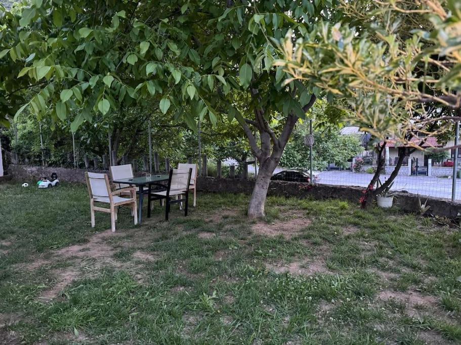 Photo of Others in Neos Panteleimonas