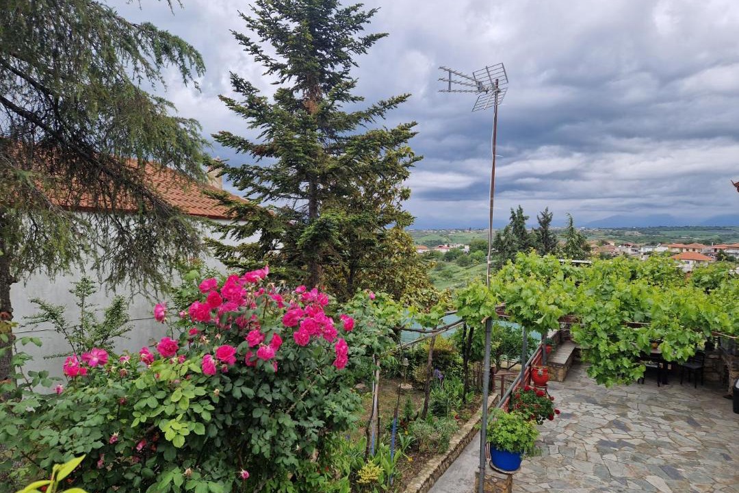 Photo of Others in Sfendamion