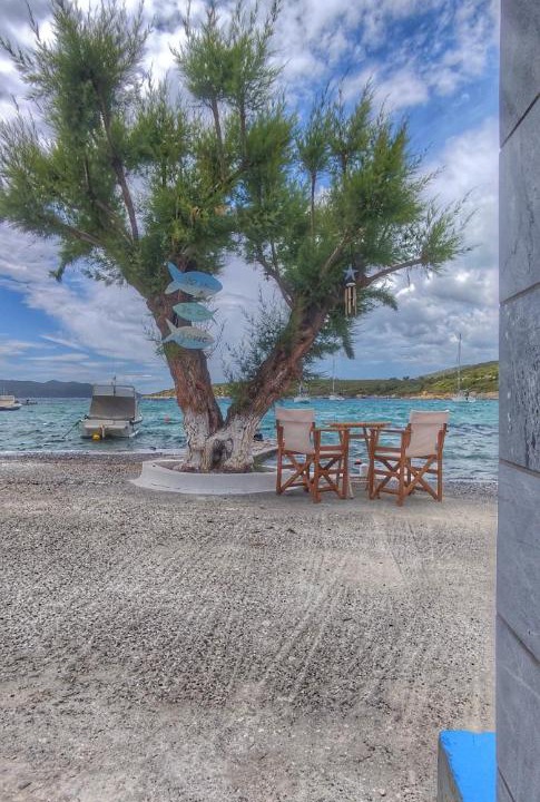 Photo of Others in Poseidonio