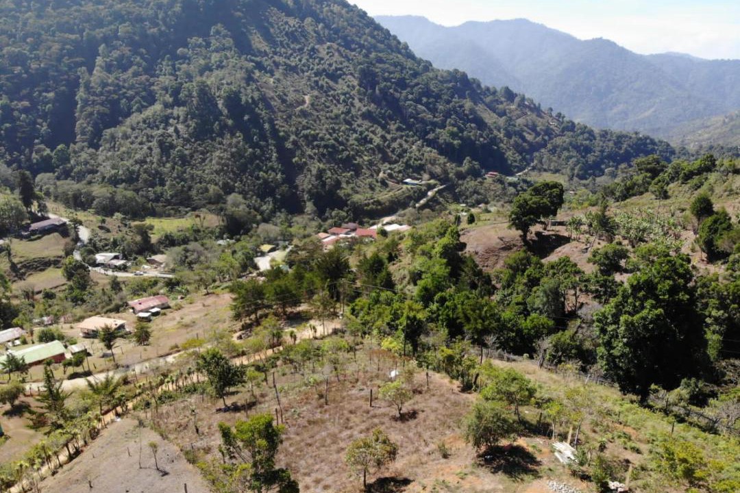 Photo of Others in Providencia de Dota