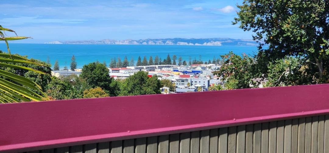 Photo of Others in Napier