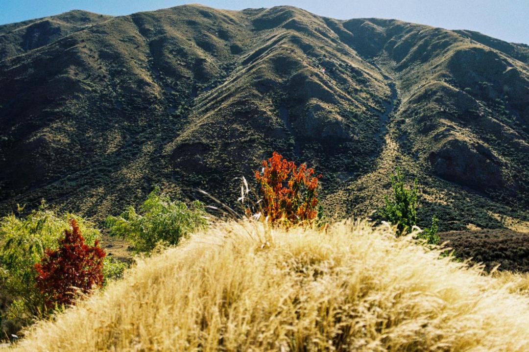 Photo of Others in Ben Ohau