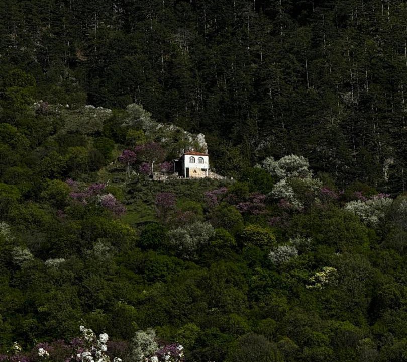 Photo of Others in Konitsa