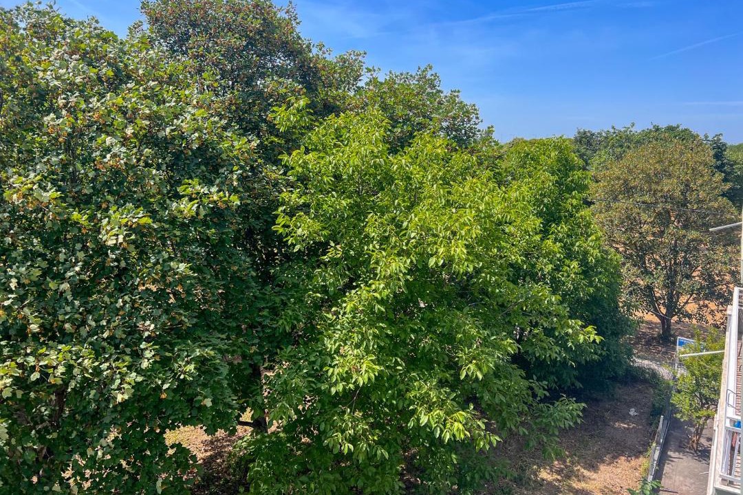 Photo of Others in Limin Litochorou