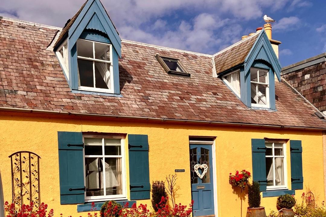 Photo of Others in St Abbs