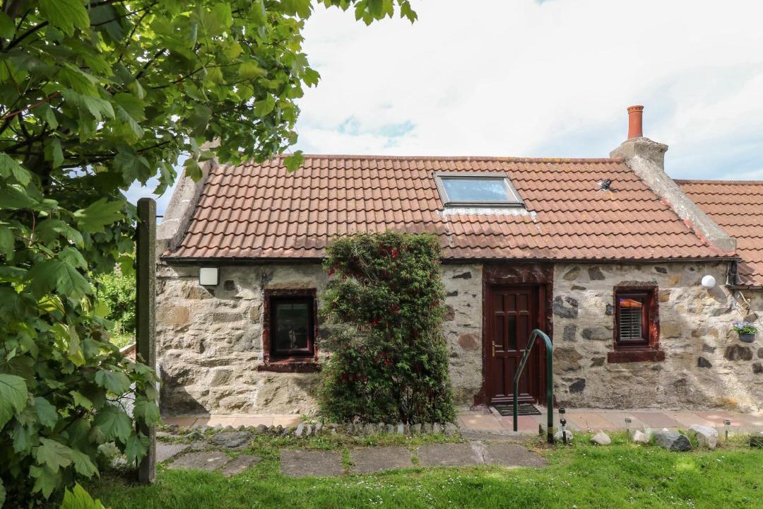 Photo of Others in St Combs