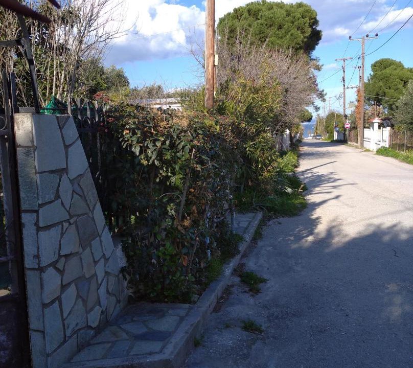 Photo of Others in Agii Apostoli