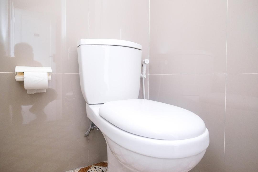 Photo of Others in Baki