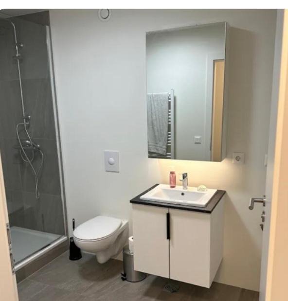 Photo of Bathroom in Innri-Njarthvik