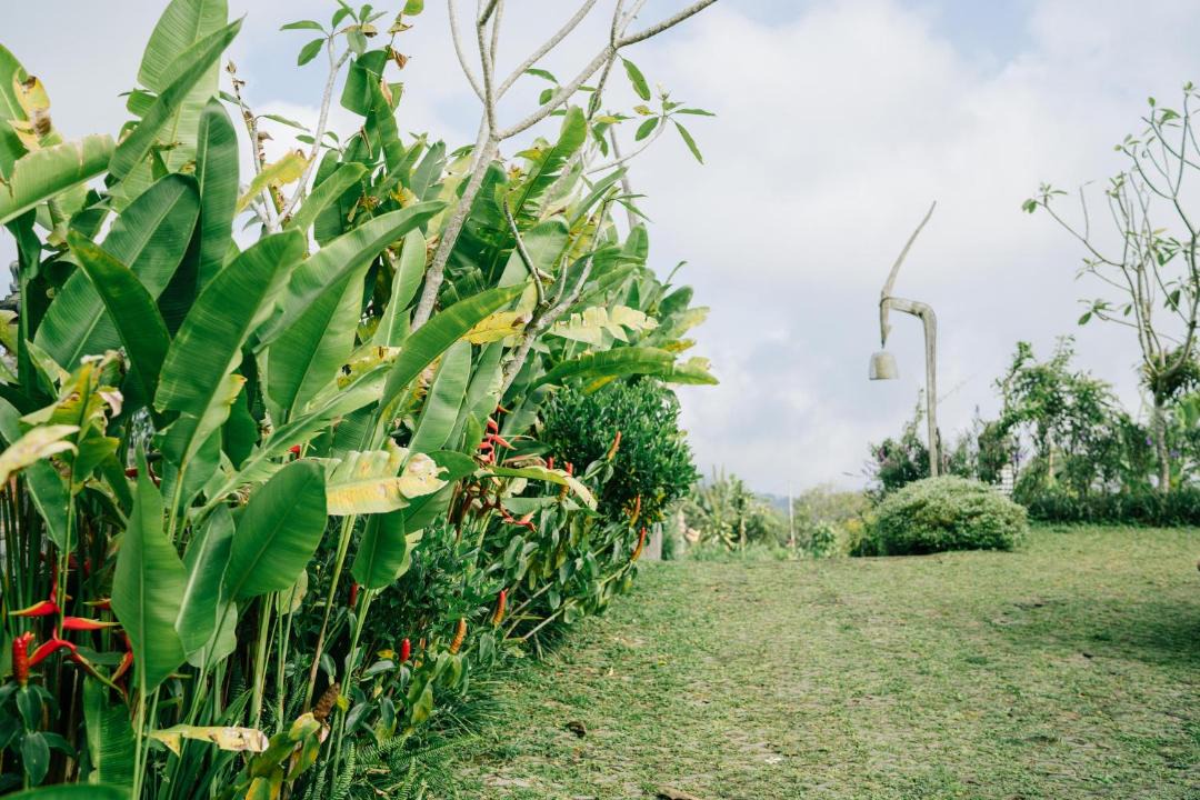 Photo of Others in Wanagiri