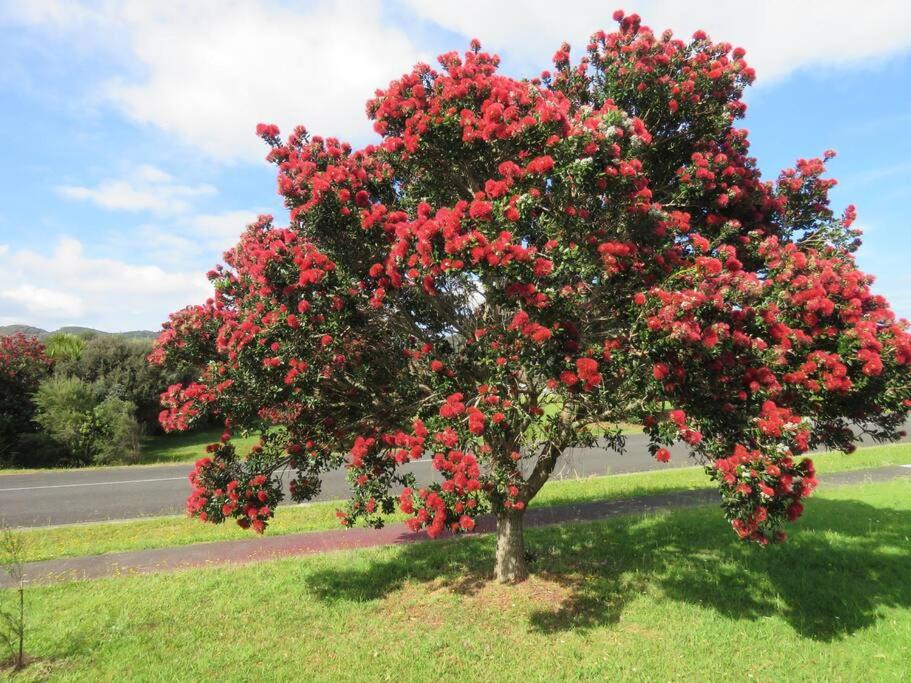 Photo of Outdoor in Ahipara
