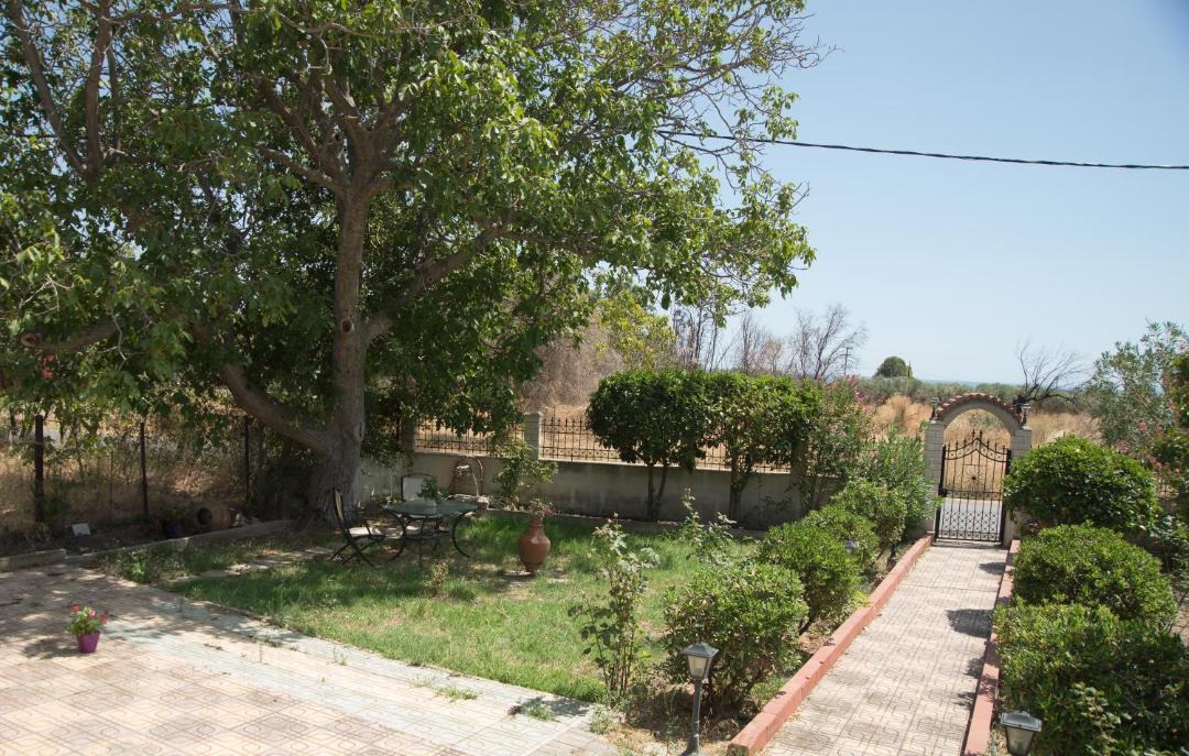 Photo of Others in Dhikella