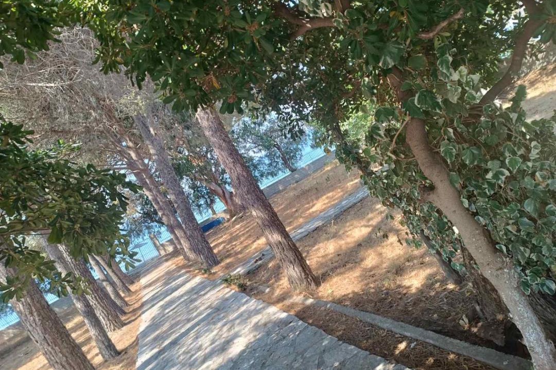 Photo of Others in Gefira Mpania