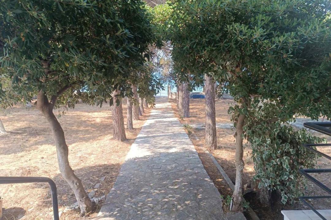 Photo of Outdoor in Gefira Mpania