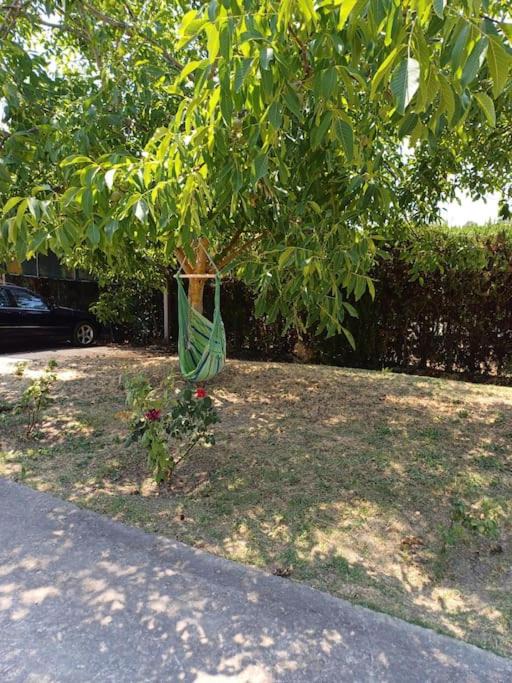 Photo of Outdoor in Paliouri