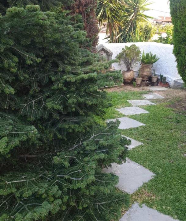 Photo of Outdoor in Amarinthos