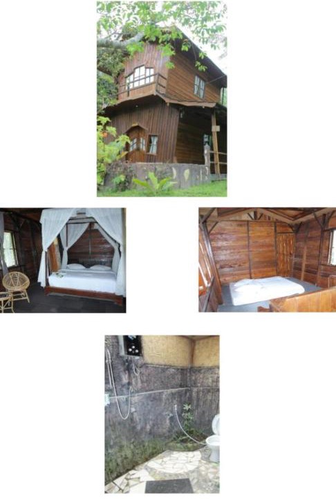 Photo of Others in Bukittinggi