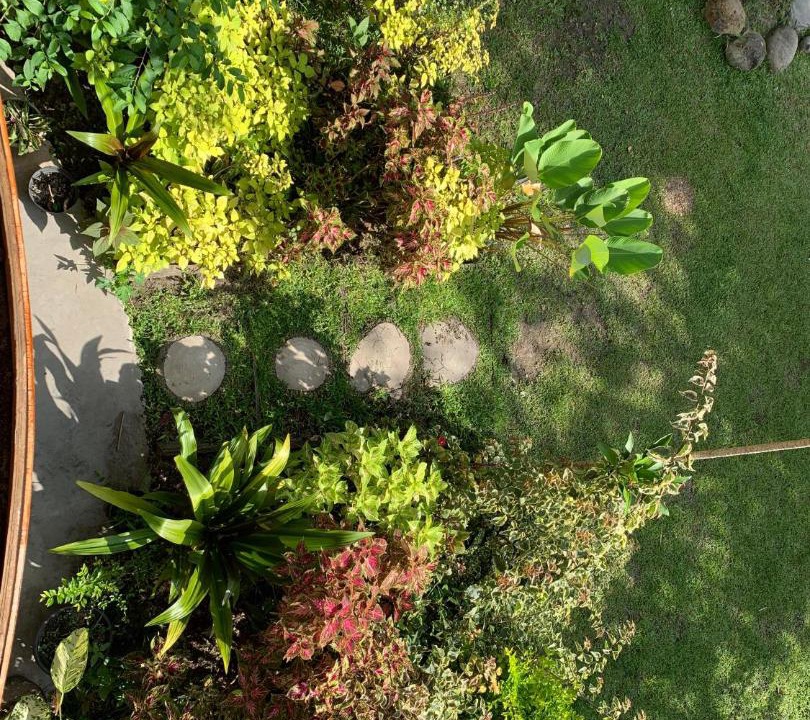 Photo of Others in Bukittinggi