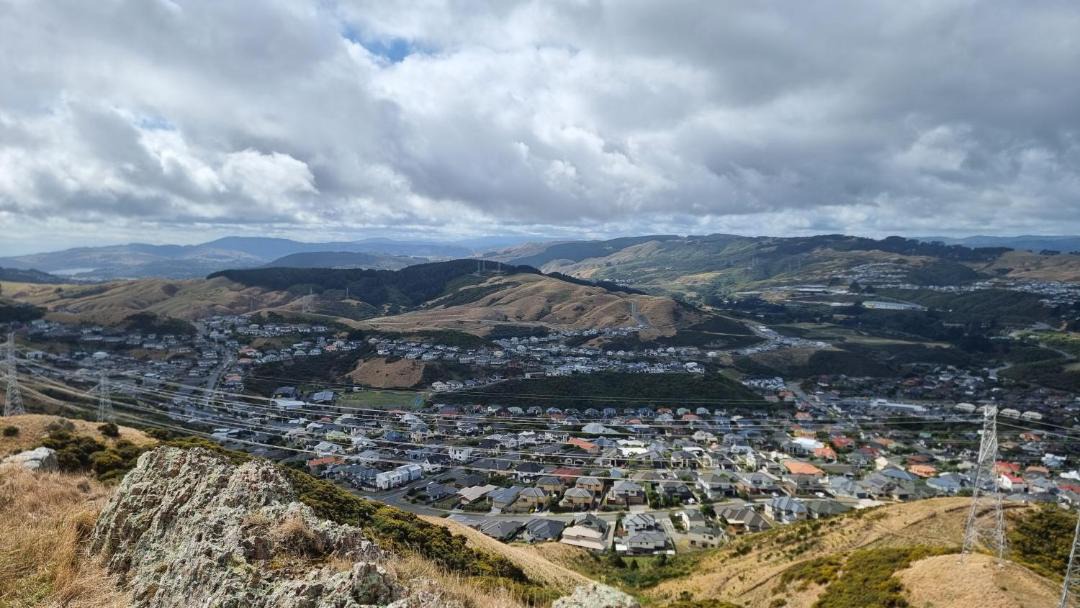 Photo of Others in Tawa