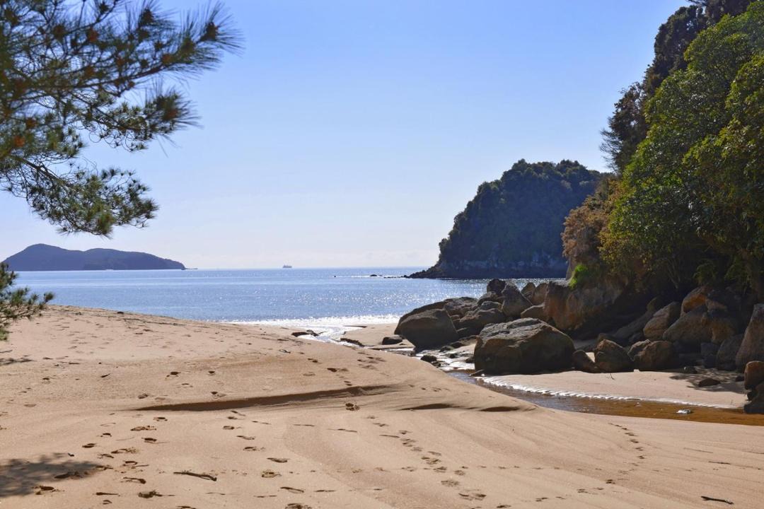 Photo of Others in Ngaio Bay