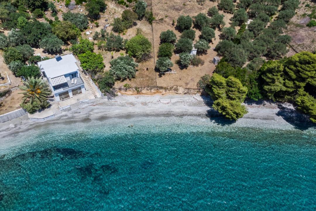 Photo of Others in Elios