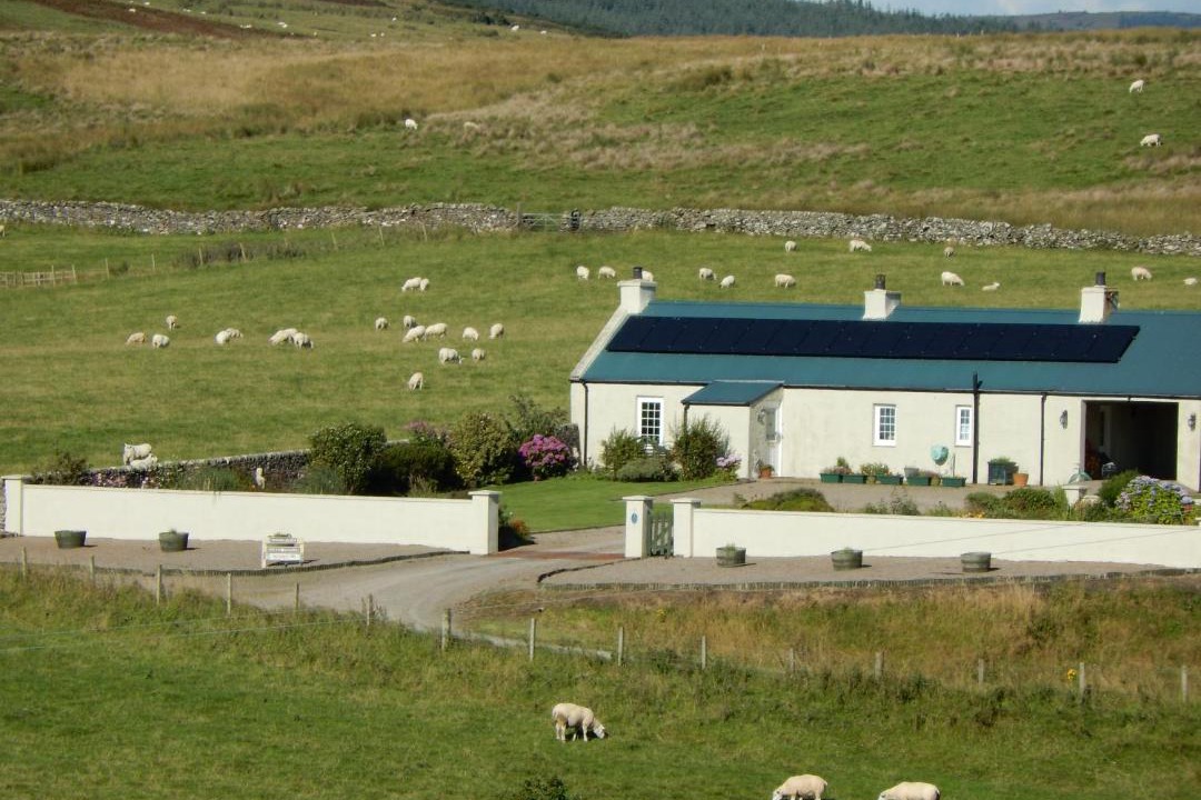 Photo of Others in Campbeltown