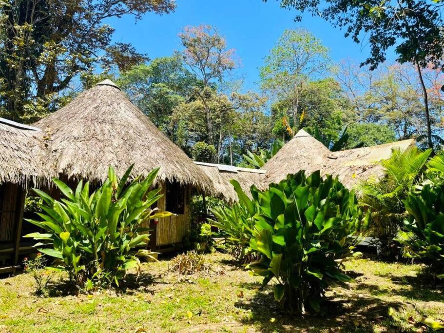 Photo of Others in Puerto Viejo de Talamanca