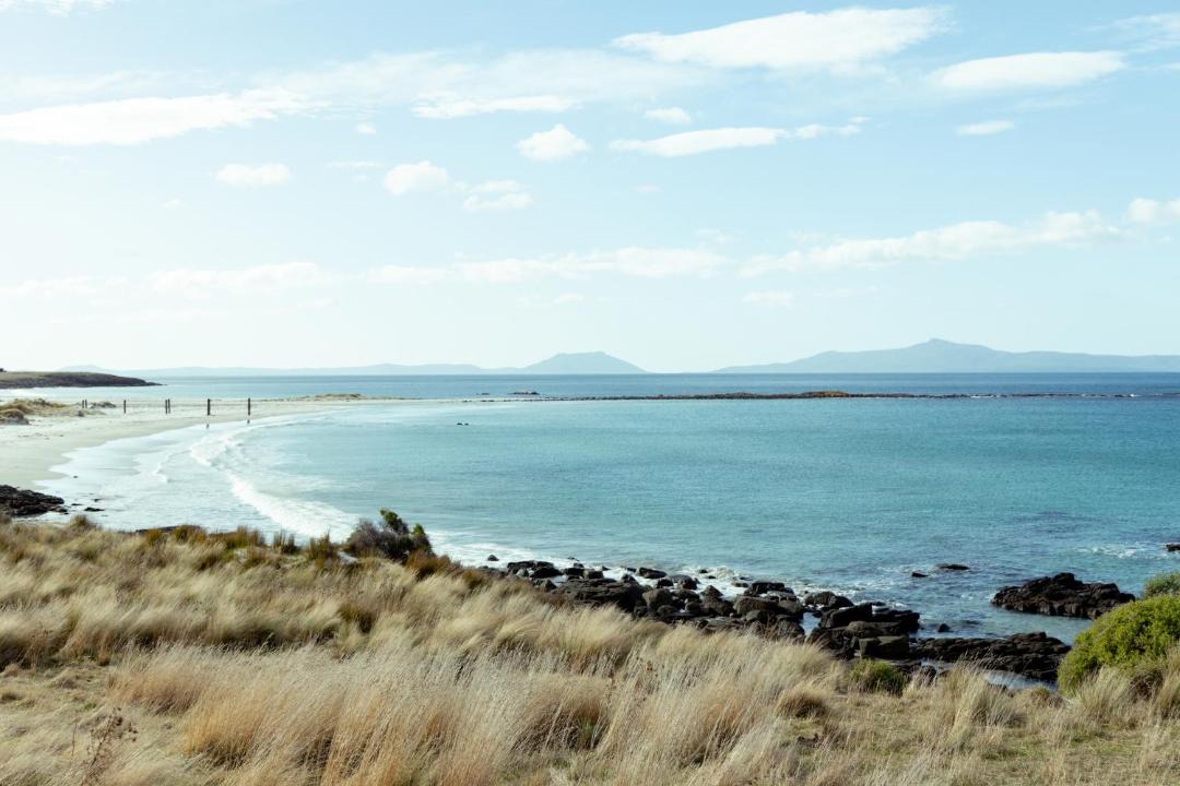 Photo of Others in Little Swanport