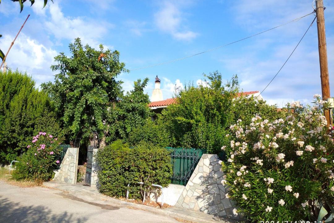 Photo of Others in Agii Apostoli